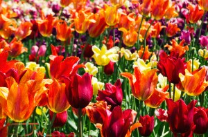 Bright and beautiful.