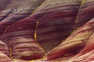 Spring at Painted Hills