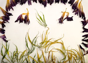 Smoke up and be happy!