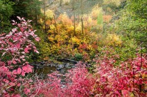 Bright and beautiful.