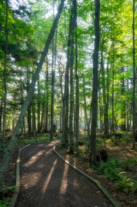 Michigan's Upper Peninsula