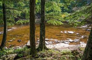 Upper Peninsula River