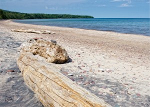 Logs along the beach.