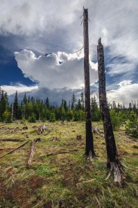 This fire was caused by humans. BUT, lightning starts a lot of wildfires in dry areas.